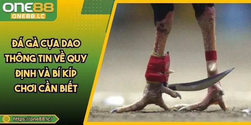 Đá Gà Cựa Dao Thông Tin Về Quy Định Và Bí Kíp Chơi Cần Biết