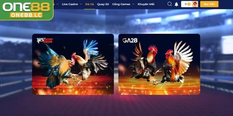 Tổng quan về sảnh đá gà ONE88