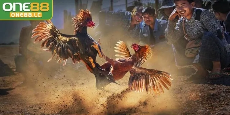 Hiểu rõ quy định về thua cuộc