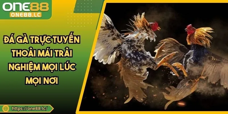 Đá Gà Trực Tuyến - Thoải Mái Trải Nghiệm Mọi Lúc Mọi Nơi